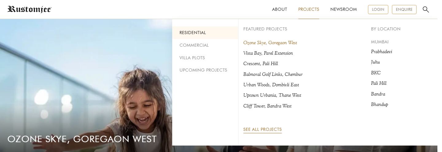 The PROJECTS menu, with the element outlined