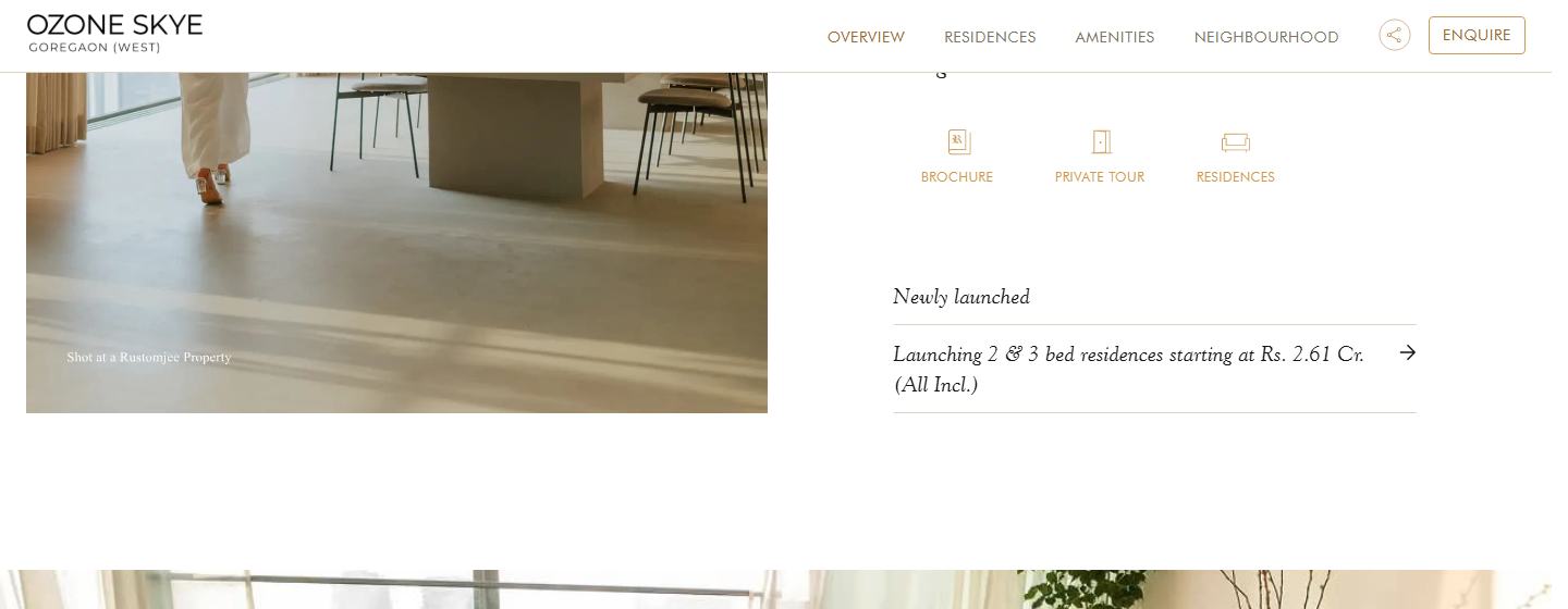 A project page, with the element outlined