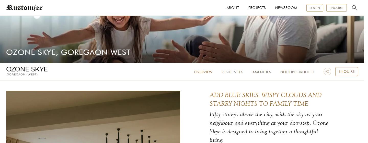 A project page, with the element outlined