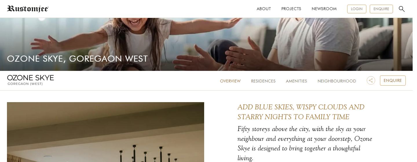A project page, with the element outlined